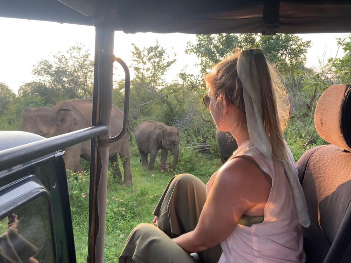 Elephant Paradise Safari Bungalow Udawalawe Dış mekan fotoğraf